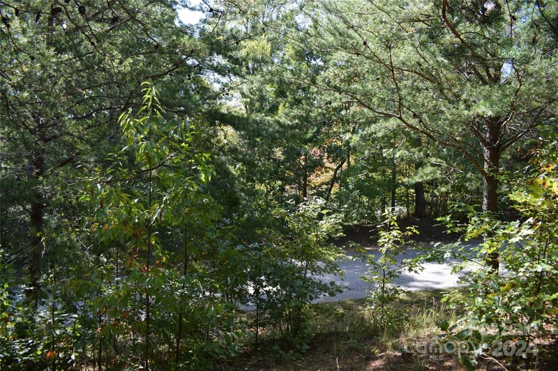 Holland Dr #3, Columbus, NC 28722