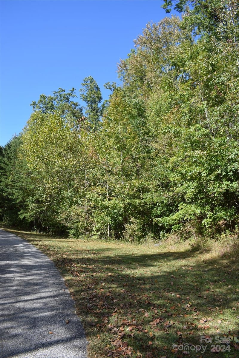 Holland Dr #3, Columbus, NC 28722