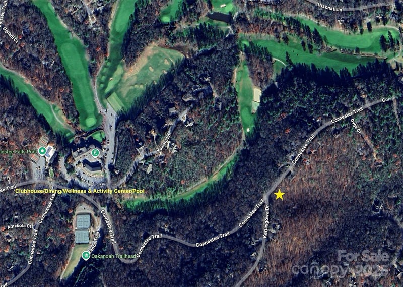 U09 L046 Connestee Trl, Brevard, NC 28712