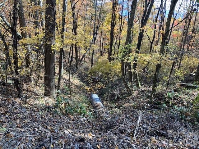 00 Wahwah Way #17, Waynesville, NC 28785