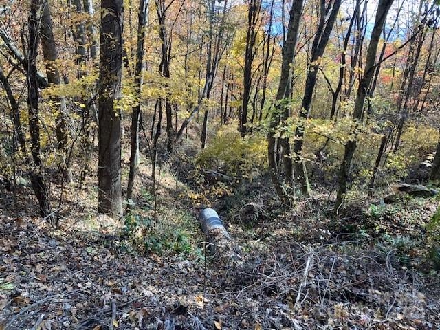 00 Wahwah Way #17, Waynesville, NC 28785