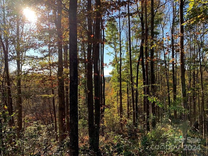 1483 Round Mountain Pw #59, Lenoir, NC 28645