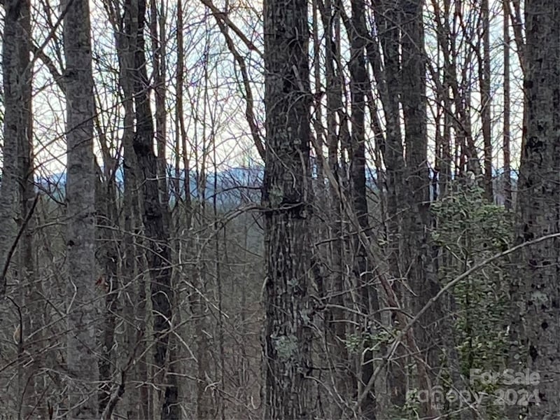 1483 Round Mountain Pw #59, Lenoir, NC 28645