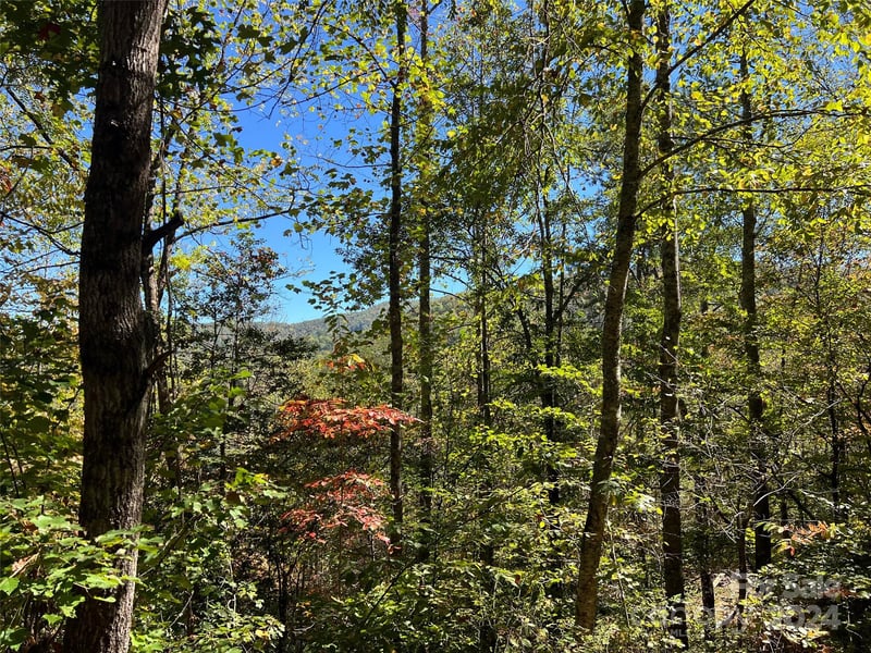 00 Tract B-C Us Highway 441 None, Sylva, NC 28779