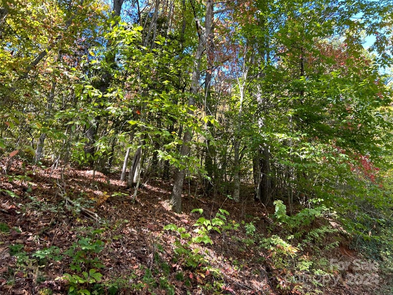 00 Tract B-C Us Highway 441 None, Sylva, NC 28779