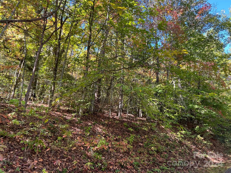 00 Tract B-C Us Highway 441 None, Sylva, NC 28779