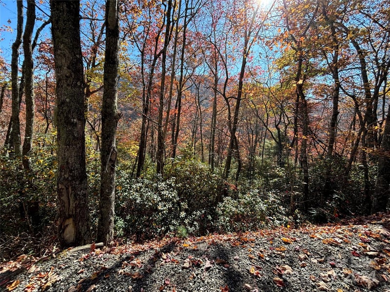 Lot 33 Coppermine Rg #33, Whittier, NC 28789