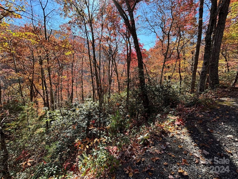 Lot 33 Coppermine Rg #33, Whittier, NC 28789