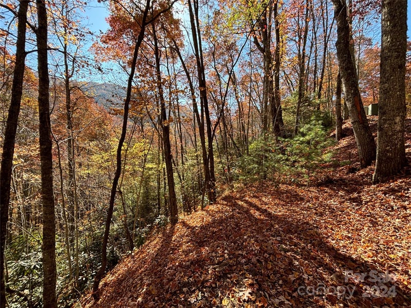 Lot 33 Coppermine Rg #33, Whittier, NC 28789