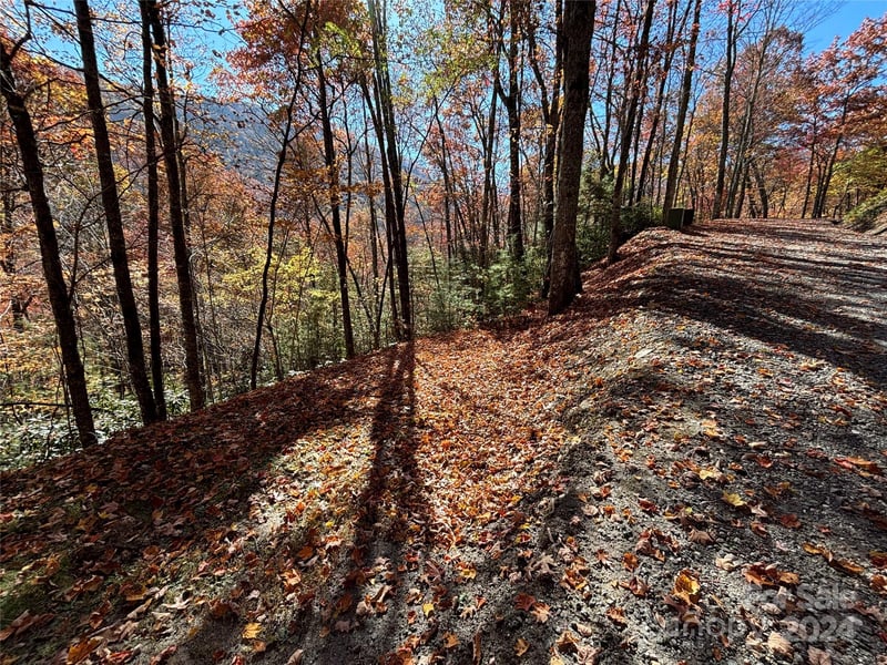 Lot 33 Coppermine Rg #33, Whittier, NC 28789
