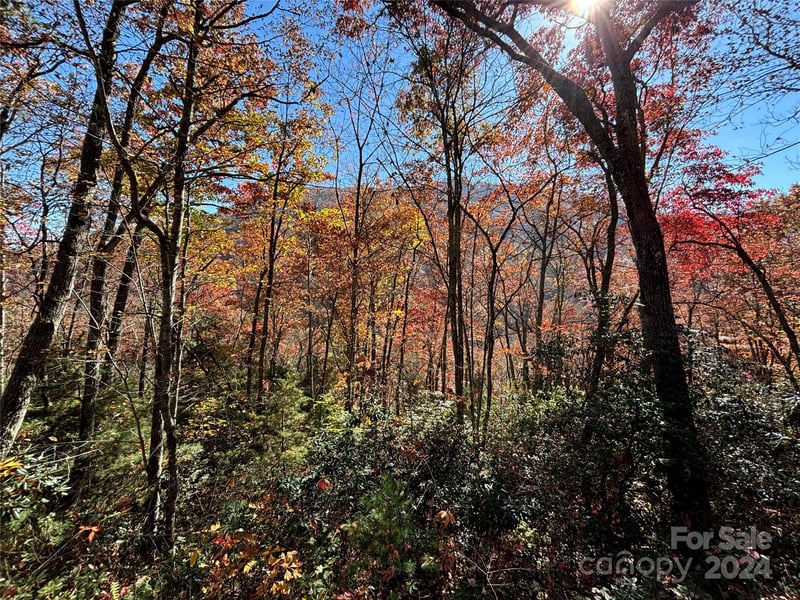 Lot 33 Coppermine Rg #33, Whittier, NC 28789