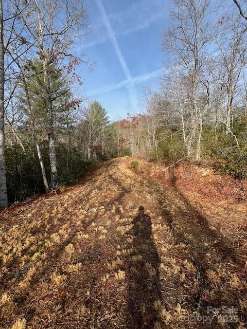 LOT 2 Tobacco Branch Rd, Almond, NC 28702