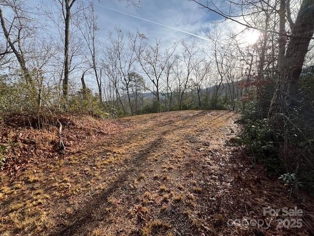 LOT 2 Tobacco Branch Rd, Almond, NC 28702