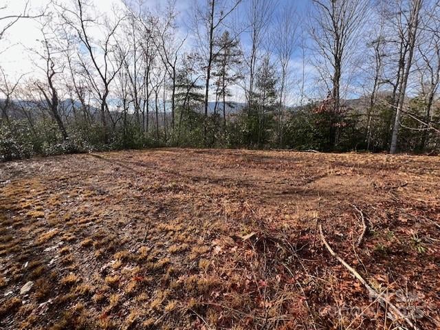 LOT 2 Tobacco Branch Rd, Almond, NC 28702
