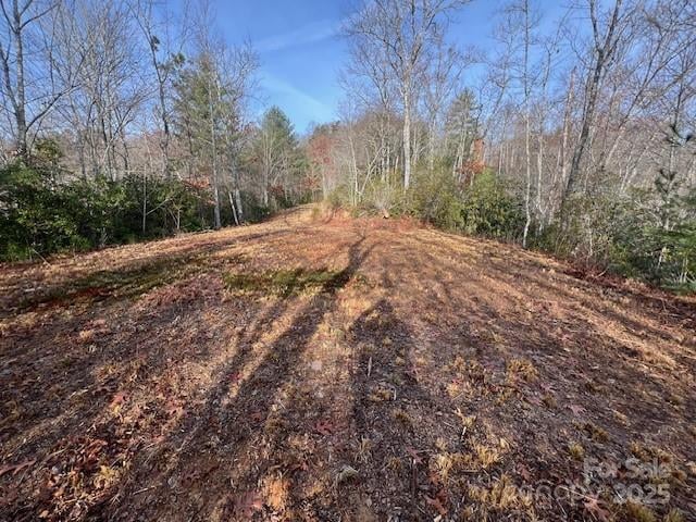 LOT 2 Tobacco Branch Rd, Almond, NC 28702