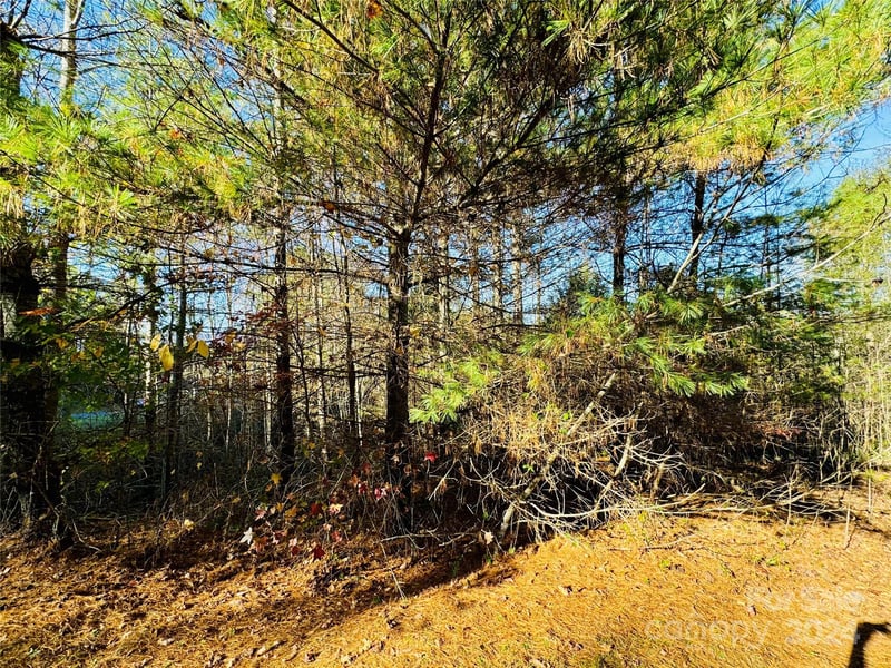 Johns Ridge Pw #136/137, Lenoir, NC 28645