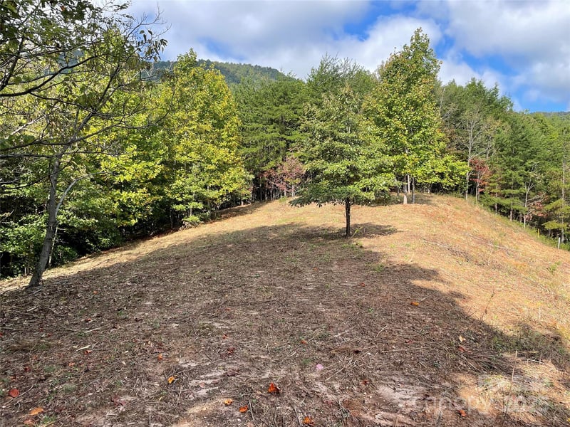 00 Birkdale Dr #159, Mill Spring, NC 28756