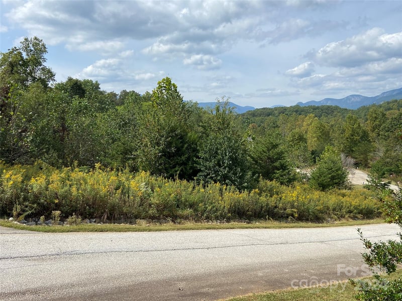 Willow Top Ln #311, Lake Lure, NC 28746