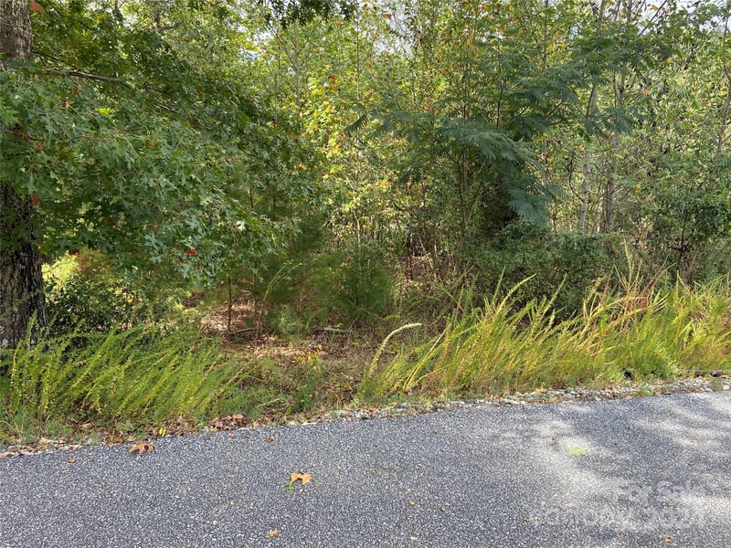 Willow Top Ln #311, Lake Lure, NC 28746