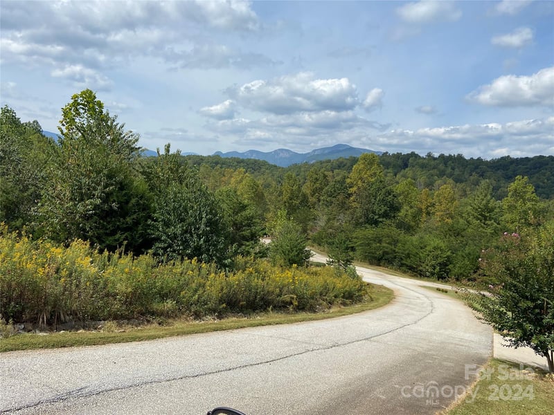 Willow Top Ln #311, Lake Lure, NC 28746