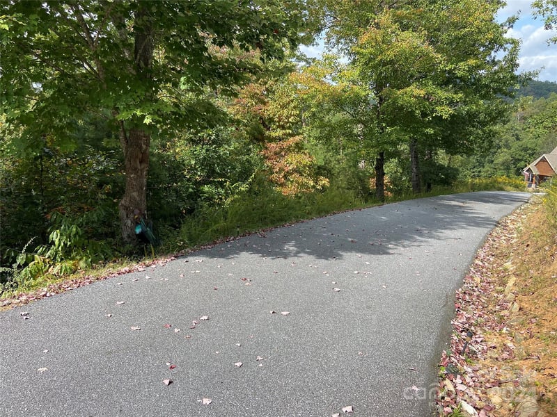 Willow Top Ln #311, Lake Lure, NC 28746