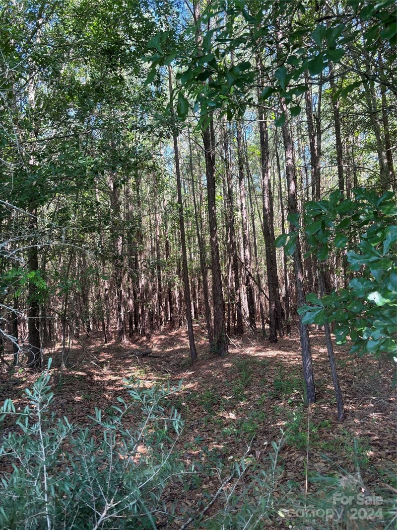 000 Columbus Rd #8, Rembert, SC 29128