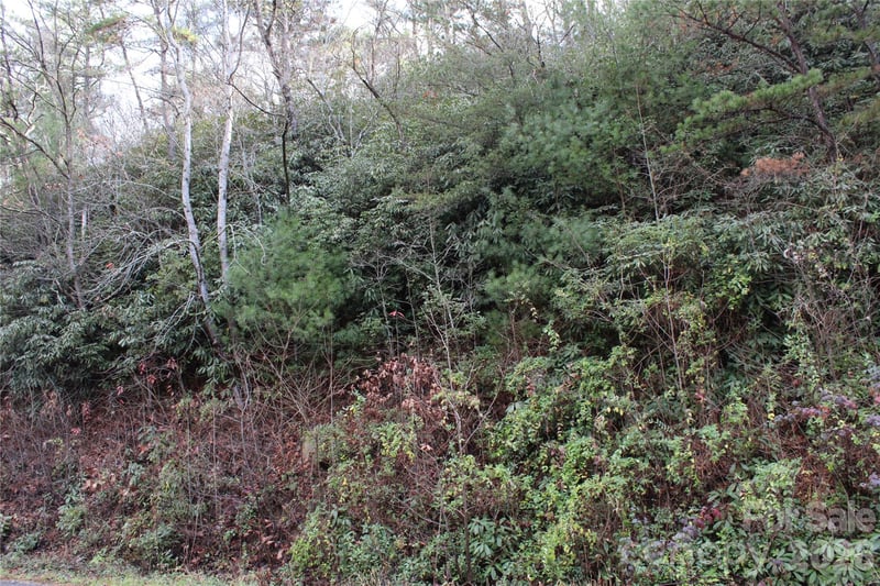 TBD Stamey Creek Rd, Brevard, NC 28712