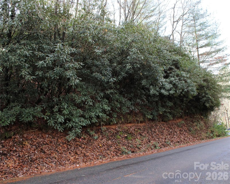 TBD Stamey Creek Rd, Brevard, NC 28712