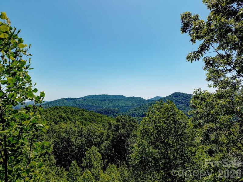 99999 Black Bear Ridge Trl, Zirconia, NC 28790