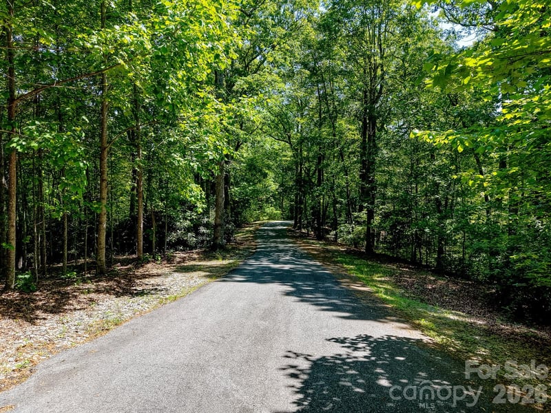 99999 Black Bear Ridge Trl, Zirconia, NC 28790