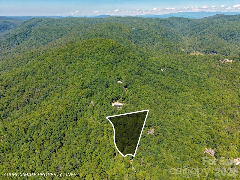 99999 Black Bear Ridge Trl, Zirconia, NC 28790