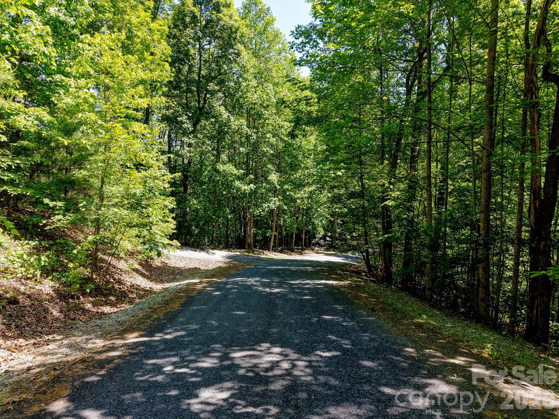 99999 Black Bear Ridge Trl, Zirconia, NC 28790