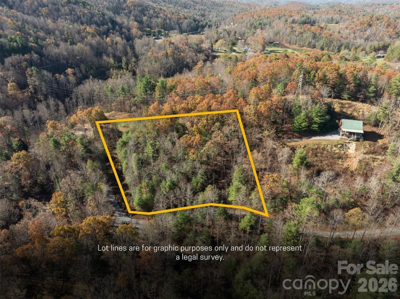 99999 Big Raven Ln, Saluda, NC 28773