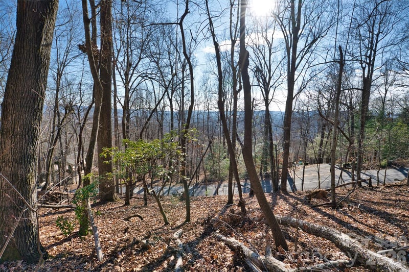 9999 Walnut Dr #166, Mills River, NC 28759