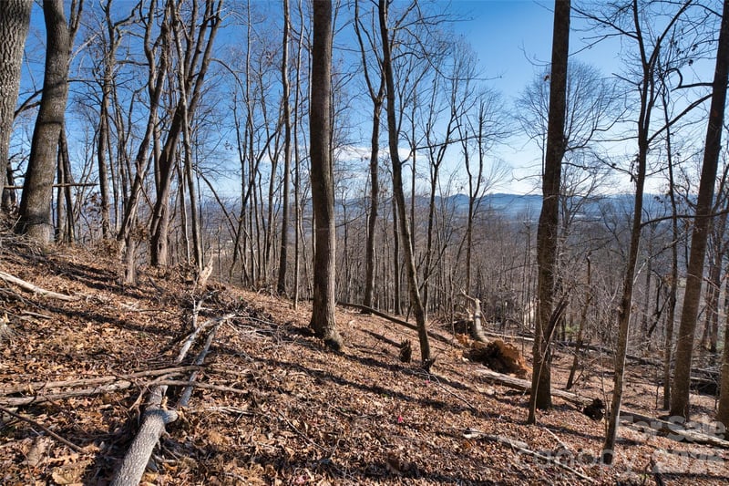 9999 Walnut Dr #166, Mills River, NC 28759