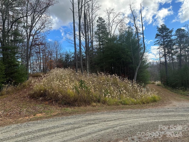 000 The Vines Blvd #5, Marshall, NC 28753