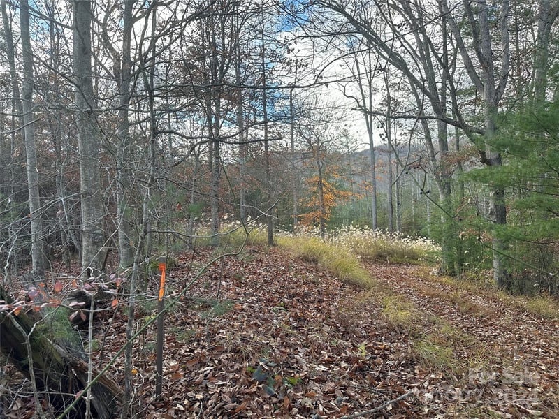 000 The Vines Blvd #5, Marshall, NC 28753
