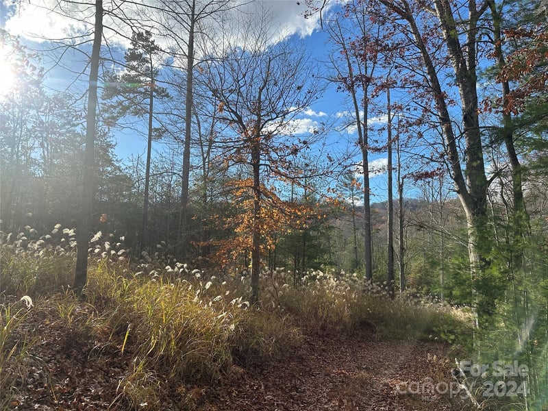 000 The Vines Blvd #5, Marshall, NC 28753