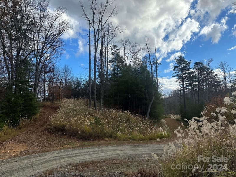 000 The Vines Blvd #5, Marshall, NC 28753