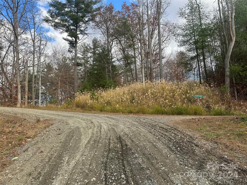 000 The Vines Blvd #5, Marshall, NC 28753