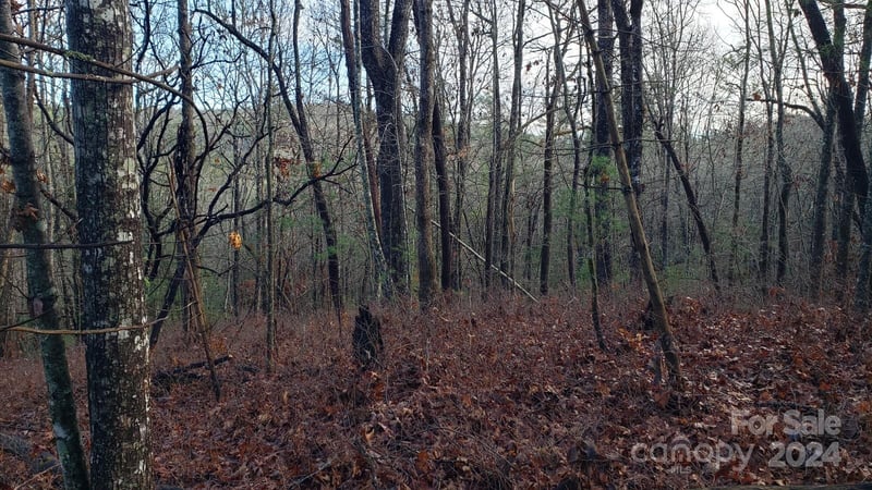 TBD Cedar Ln, Brevard, NC 28712