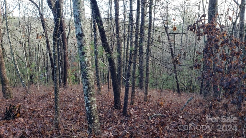 TBD Cedar Ln, Brevard, NC 28712