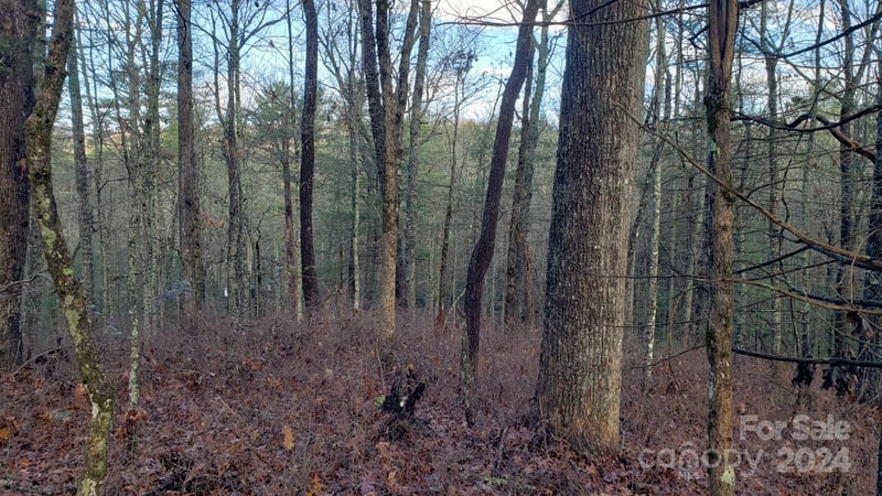 TBD Cedar Ln, Brevard, NC 28712