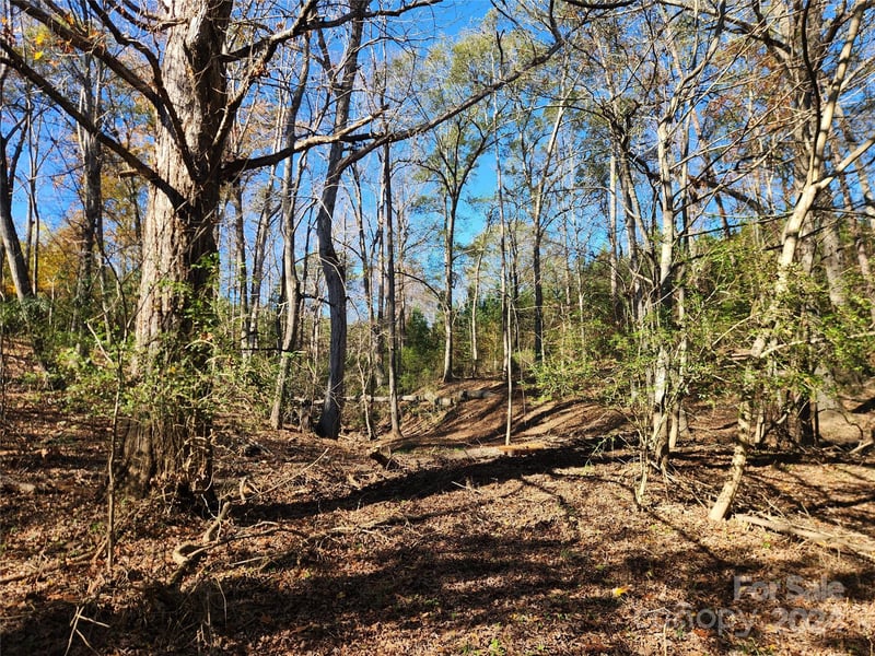 451 Low Bridge Rd, Forest City, NC 28043