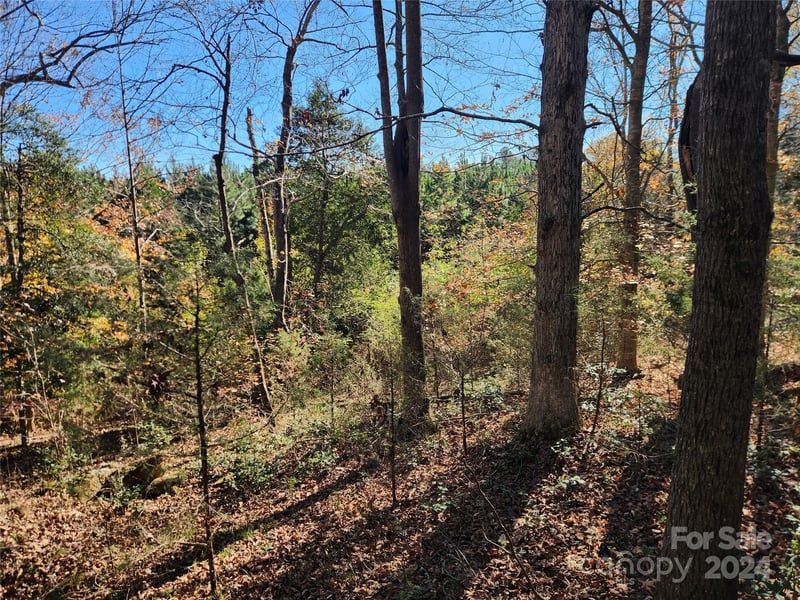 451 Low Bridge Rd, Forest City, NC 28043
