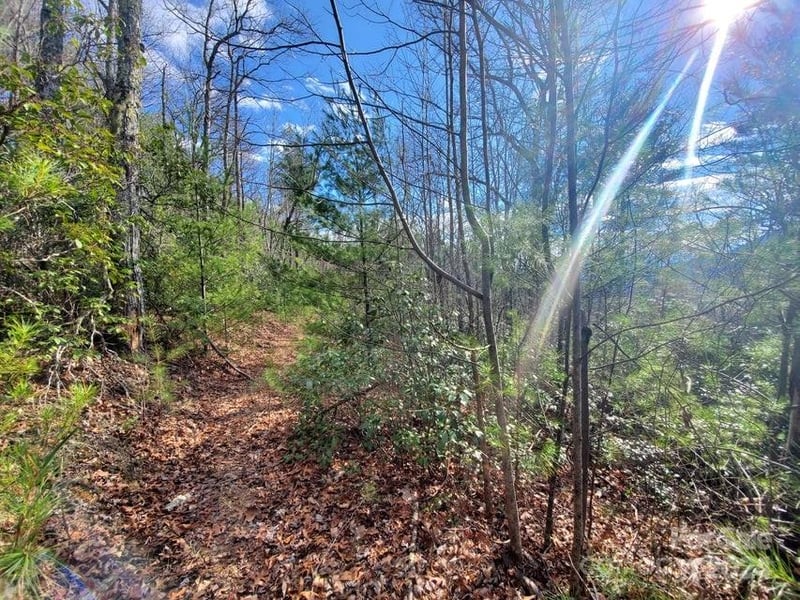 TBD Elkins Rd #22, Bakersville, NC 28705