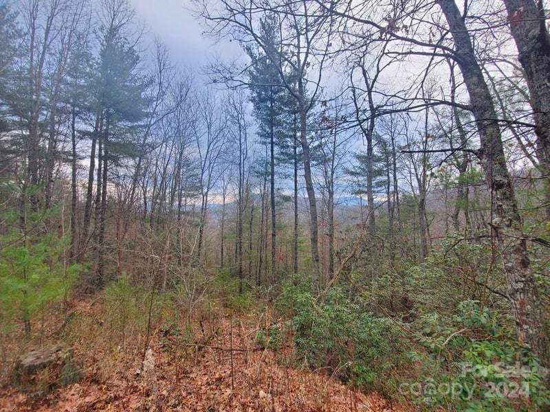 TBD Elkins Rd #22, Bakersville, NC 28705