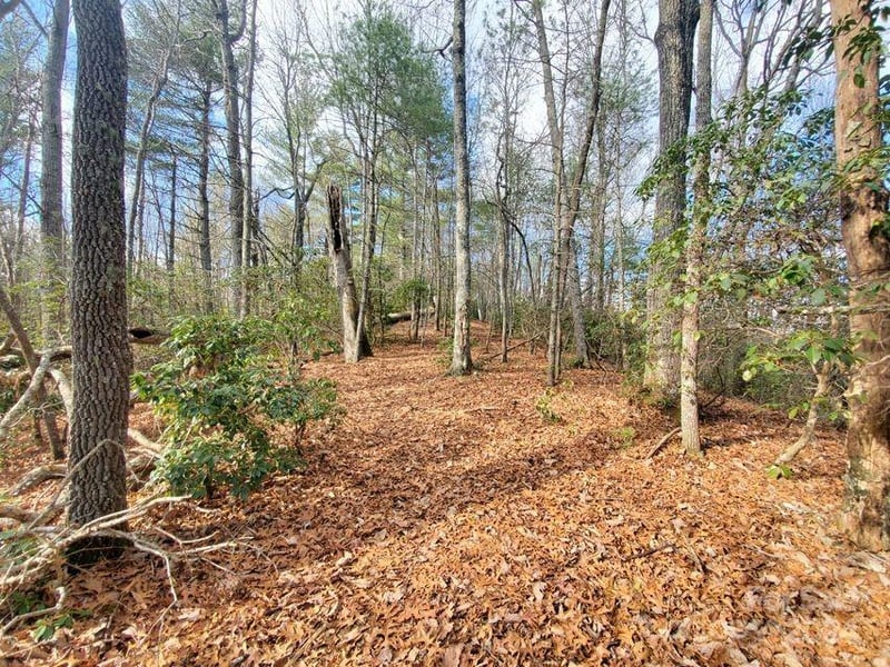 TBD Elkins Rd #22, Bakersville, NC 28705