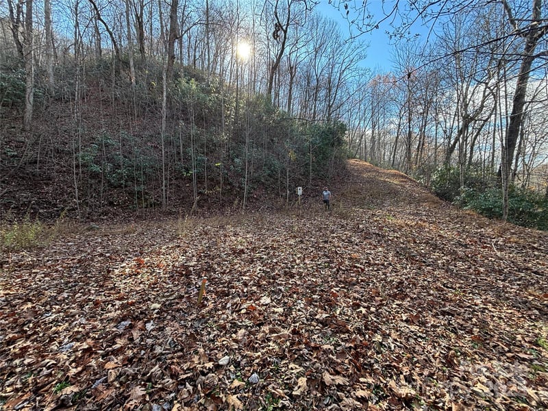 OFF Houston Farm Rd, Bryson City, NC 28713