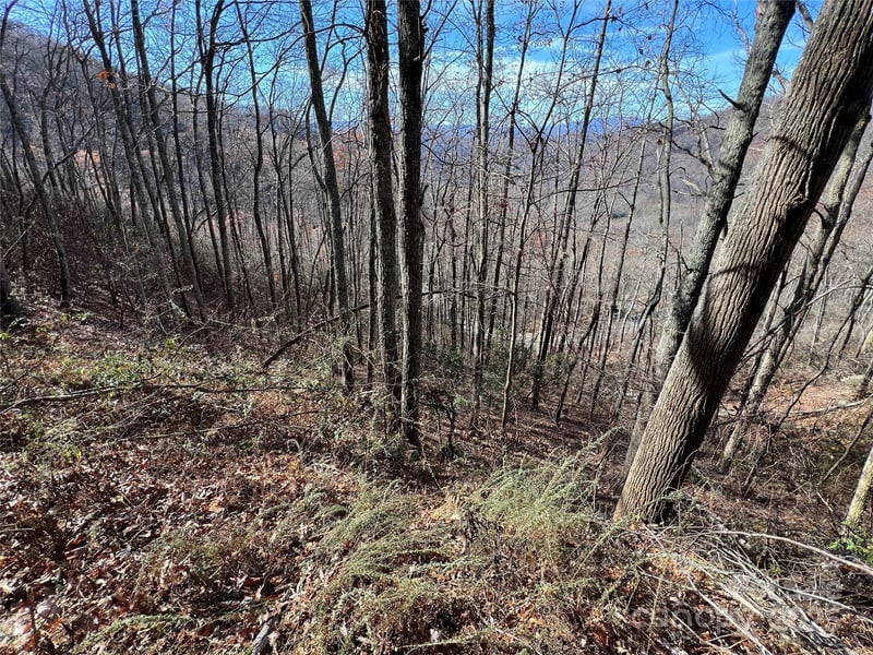 Lot 8 Falls View Dr, Bryson City, NC 28713